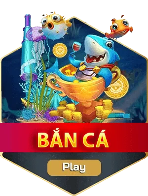 baner bắn cá
