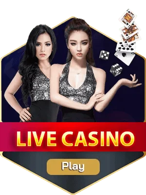 baner casino